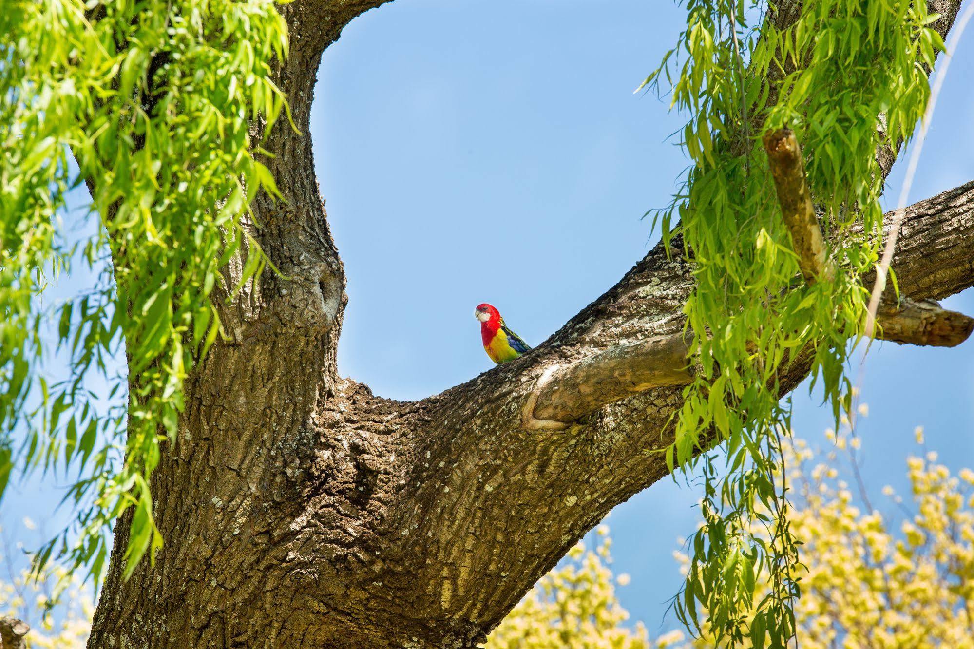 Bed and Breakfast Swan House Martinborough Exteriér fotografie